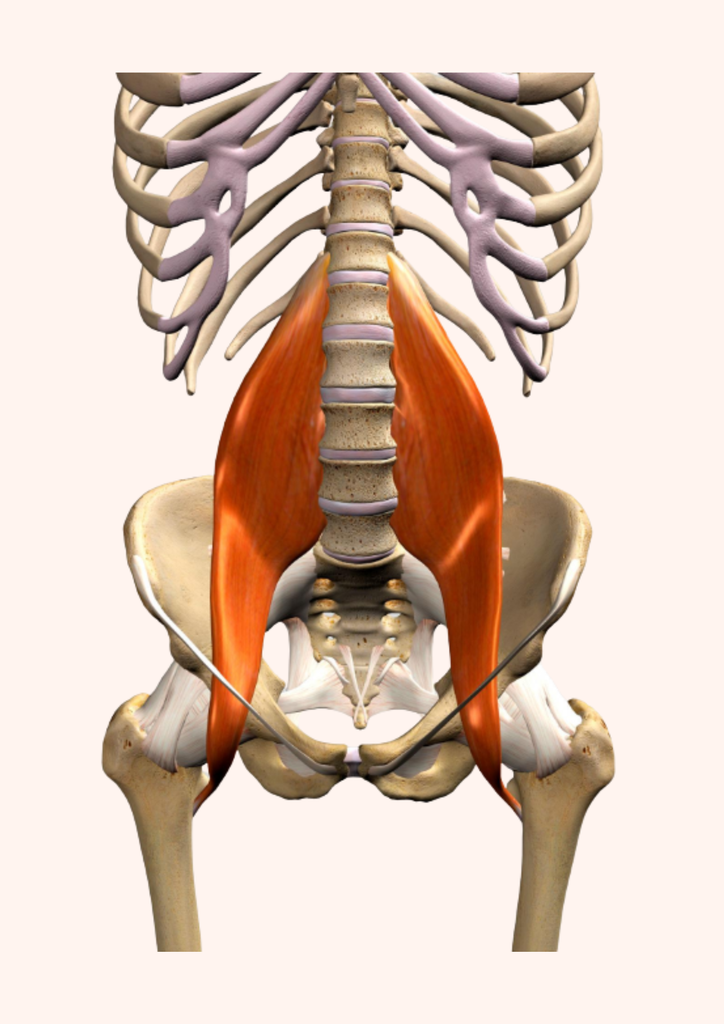 Psoas